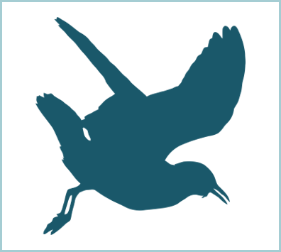 Seagull-Silhouette.png